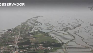 Fotos da Força Aérea mostram bacias do Sado, Tejo e Mondego – Observador
