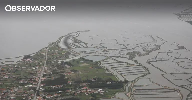 Fotos da Força Aérea mostram bacias do Sado, Tejo e Mondego – Observador