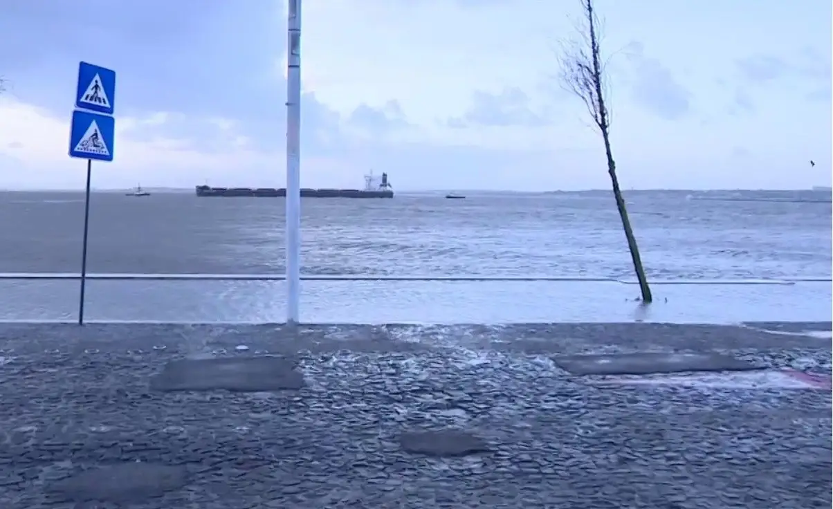 Proteção Civil aconselha populações ribeirinhas do Tejo a abandonar casas