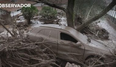 Mais de 50 carros sofreram danos em Portalegre – Observador