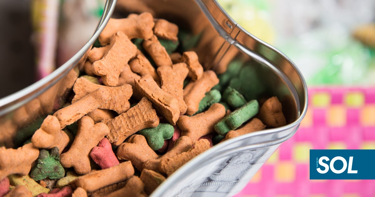 Snacks para animais como proteína para o ginásio? Saiba quais os riscos da nova tendência que já chegou a Portugal