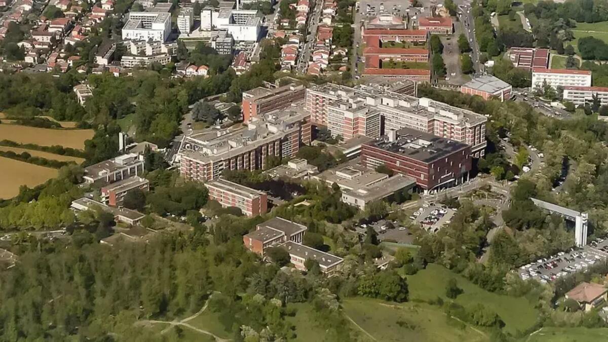 Jornal de Notícias Logo