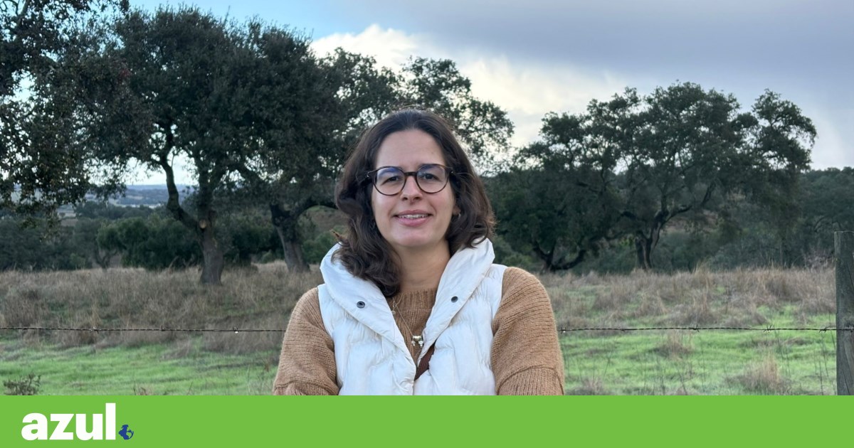 Joana venceu prémio da melhor jovem agricultora da Europa. Porquê? | Entrevista