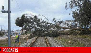 Depois da tempestade, a CP falhou com os portugueses? | Podcast Sobre Carris