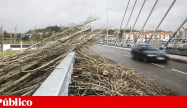 Homem morre em Porto de Mós após queda de telhado que reparava | Tempestade Kristin