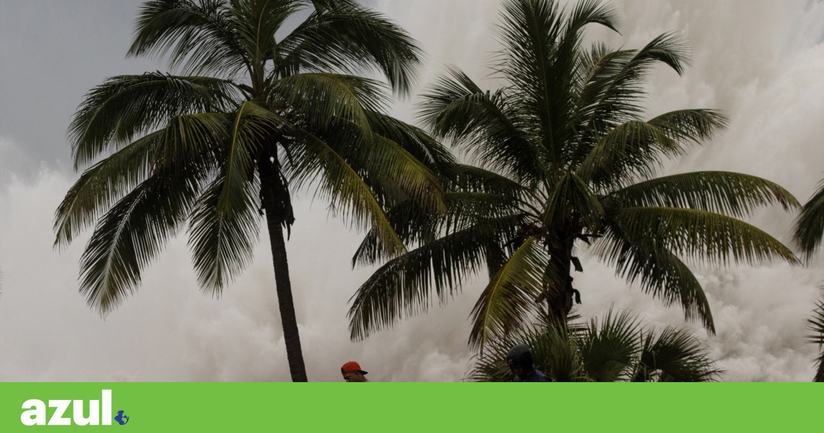 Há sinais de um “El Niño” a formar-se, que pode trazer anos de calor recorde | Clima