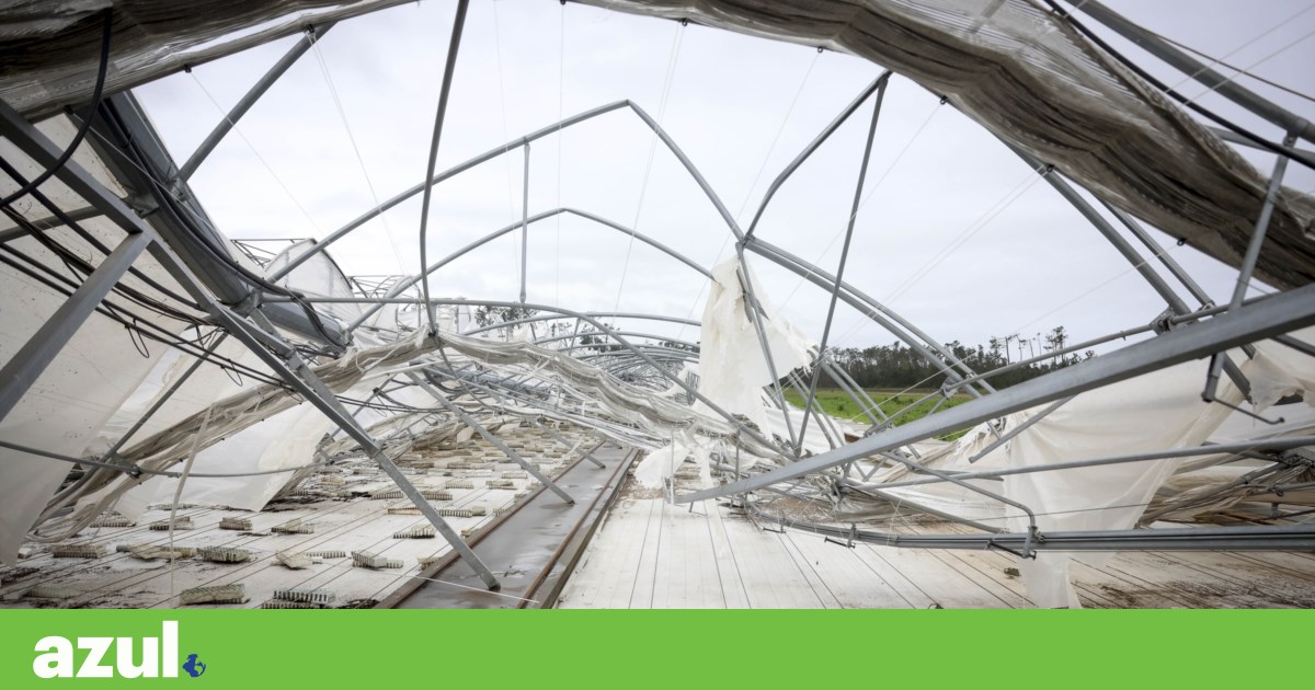 Cientistas apontam a Portugal falhas estruturais que agravam efeitos das tempestades | Clima