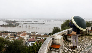 Jornal de Notícias Logo