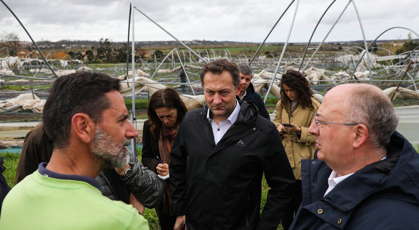 Apoios à agricultura. Limite de 400 mil euros pode ser revisto mas "dinheiro é finito"
