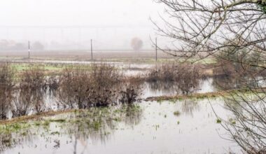 Jornal de Notícias Logo