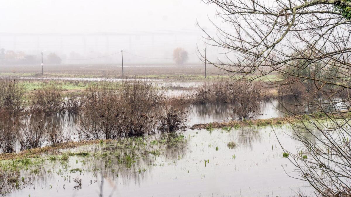 Jornal de Notícias Logo