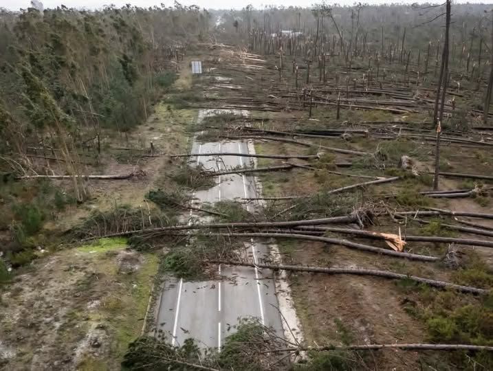 Petição apela à suspensão de cobranças da luz, água e telecomunicações por seis meses