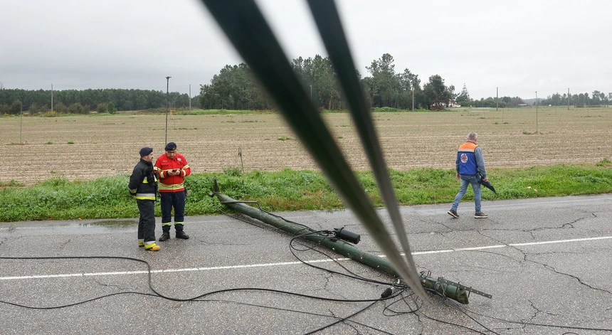 EDP anuncia reposição de energia a 100% dos clientes afetados por tempestades