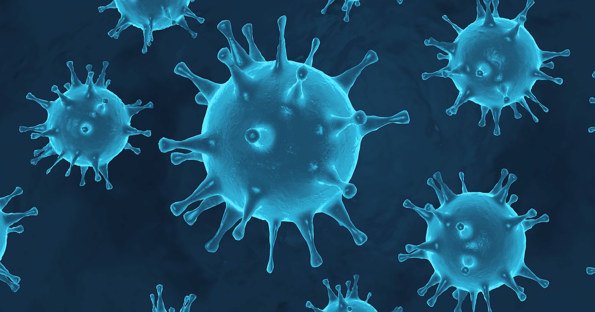 Nipah, gripe K, aviária: as doenças no radar de infectologistas em 2026