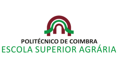 Estudo indica que movimento das aves aquáticas tem implicações na propagação do vírus da gripe aviária