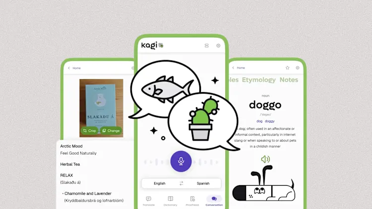 aplicativo Kagi para tradução de idiomas