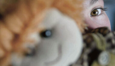 Jornal de Notícias Logo