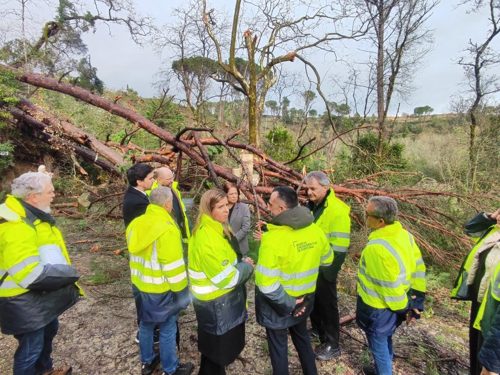 Ministra garante: “no próximo ano vamos ter novamente a Charolinha”