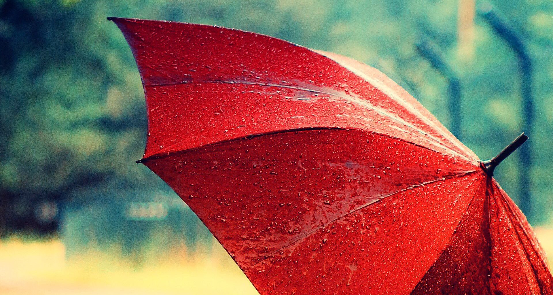 IPMA lança alerta para os próximos dias: chuva, neve e vento forte