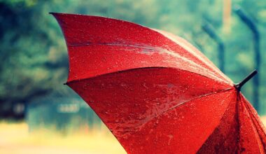 IPMA lança alerta para os próximos dias: chuva, neve e vento forte