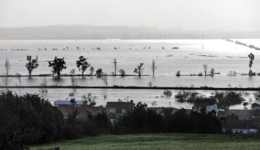 Especialista alerta para agravamento das cheias no Mondego sem novas barragens