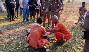 Turista morre pisoteado por elefante em parque nacional da Tailândia