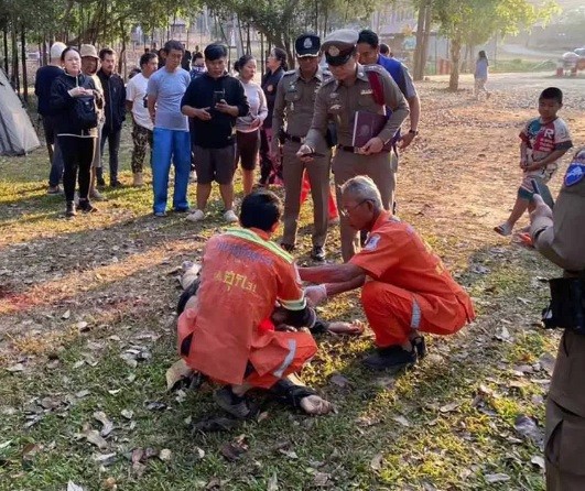 Turista morre pisoteado por elefante em parque nacional da Tailândia