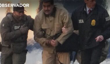 "Falas com o passarinho?" – Observador