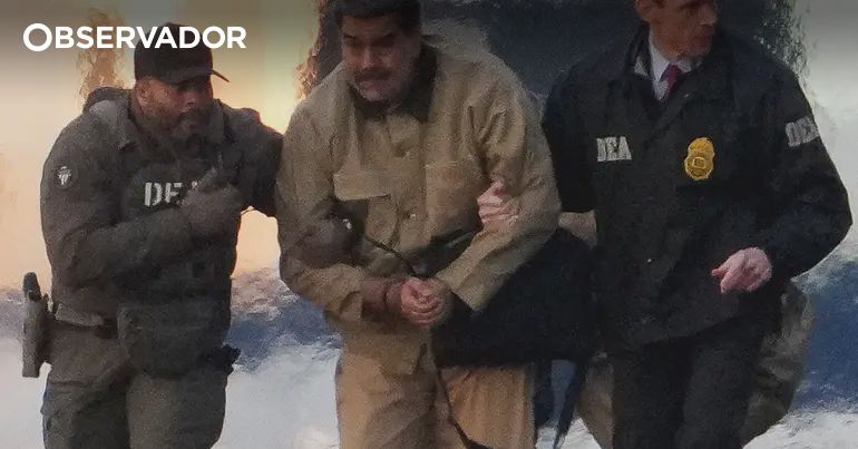 "Falas com o passarinho?" – Observador