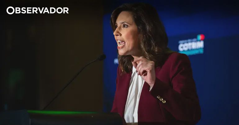 IL admite 2 queixas (uma de Bichão), mas não contra Cotrim – Observador