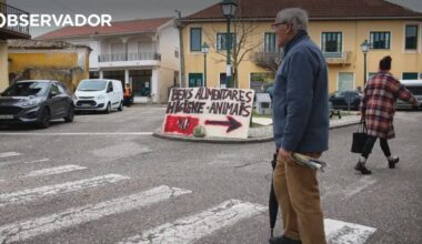 A onda de voluntariado que está a reerguer Vieira de Leiria – Observador