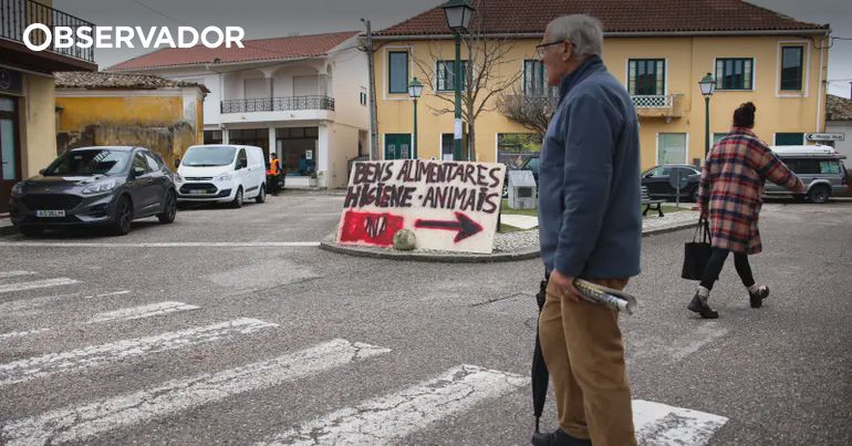 A onda de voluntariado que está a reerguer Vieira de Leiria – Observador