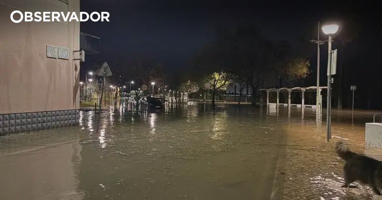 Zona ribeirinha de Alhandra inundou durante a madrugada – Observador