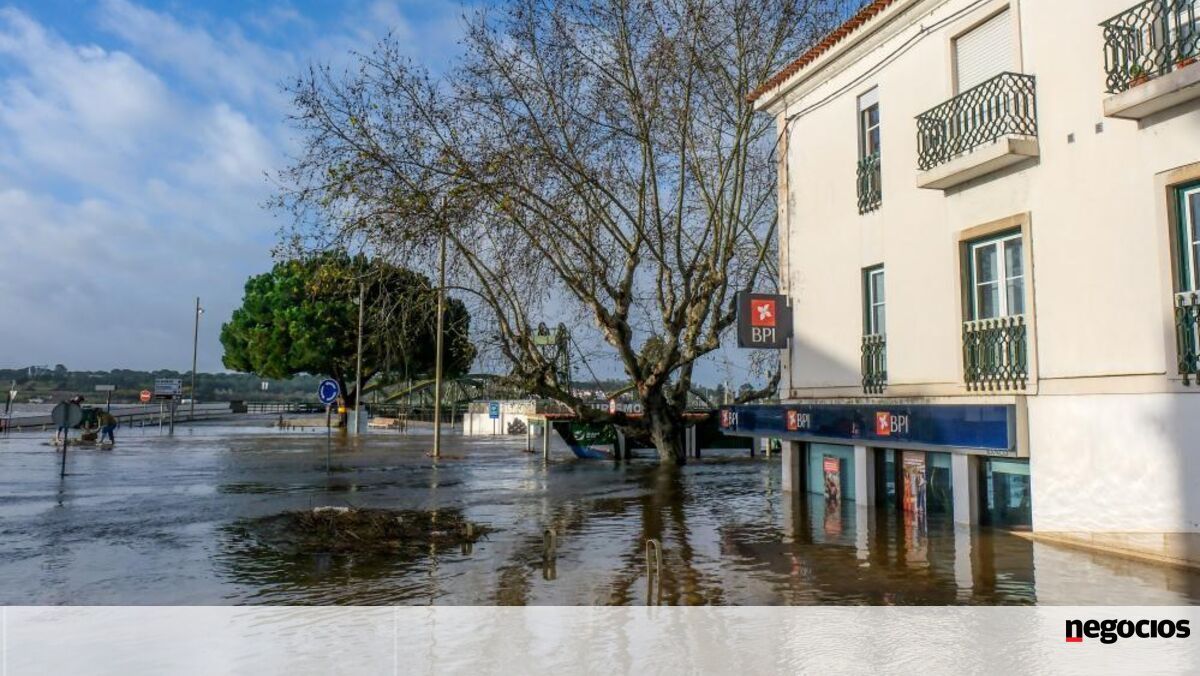 Há 86 mil pessoas sem eletricidade. Dezenas de carros danificados por deslizamento em Portalegre - Economia