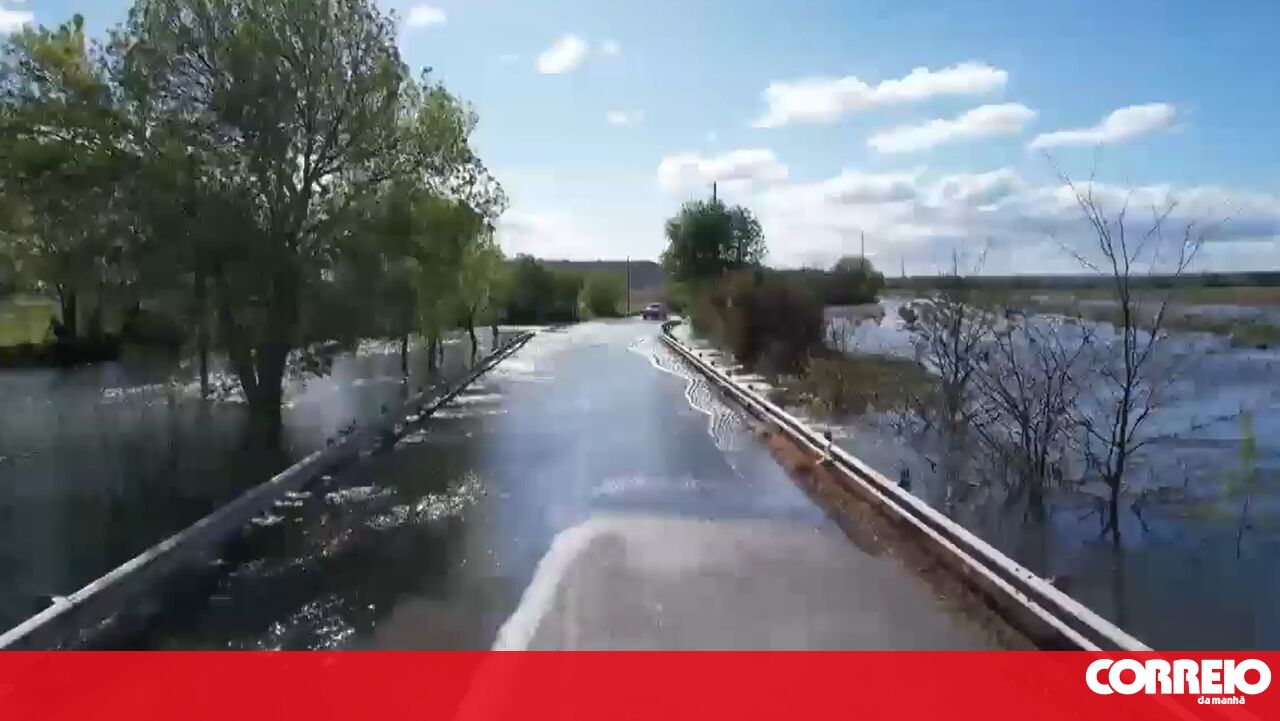 IPMA alerta para chuva persistente e por vezes forte até meio da manhã de quinta-feira - Clima