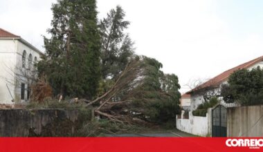 Homem morre ao cair de telhado que reparava em Cernache do Bonjardim - Sociedade