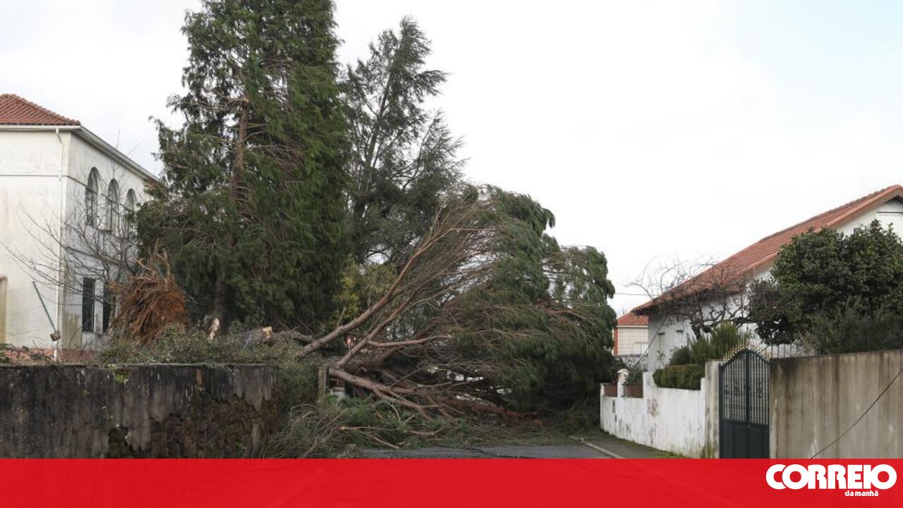 Homem morre ao cair de telhado que reparava em Cernache do Bonjardim - Sociedade
