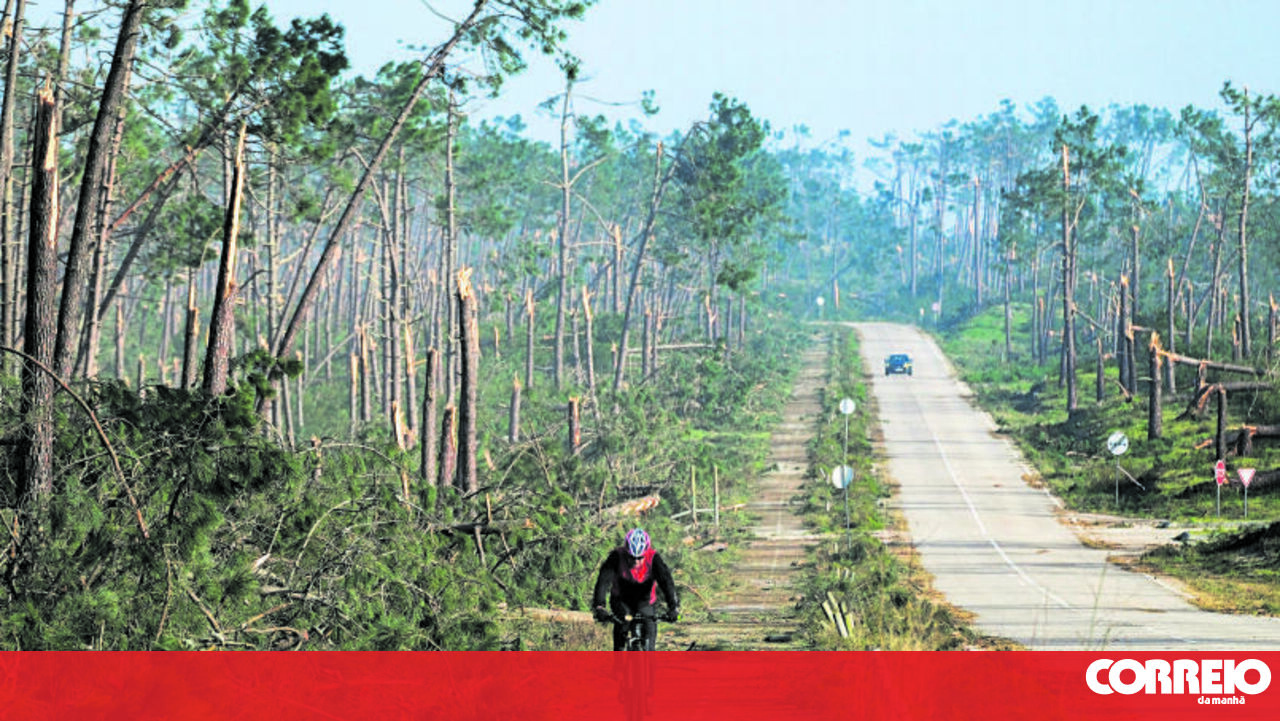 Nova tempestade entra esta noite pela Grande Lisboa - Clima