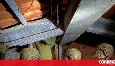 Marinha tem 240 militares na missão de apoio à população afetada pela tempestade - Portugal