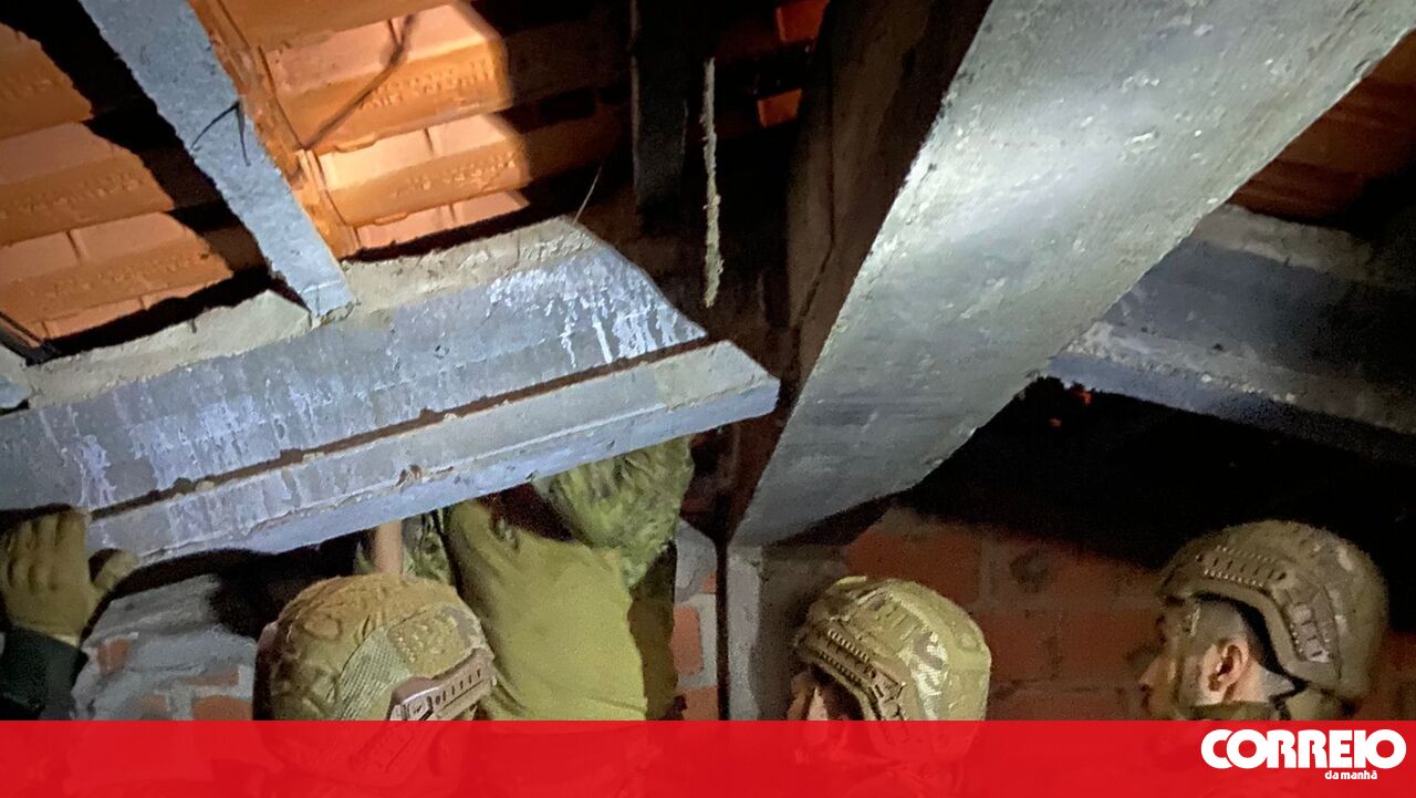 Marinha tem 240 militares na missão de apoio à população afetada pela tempestade - Portugal