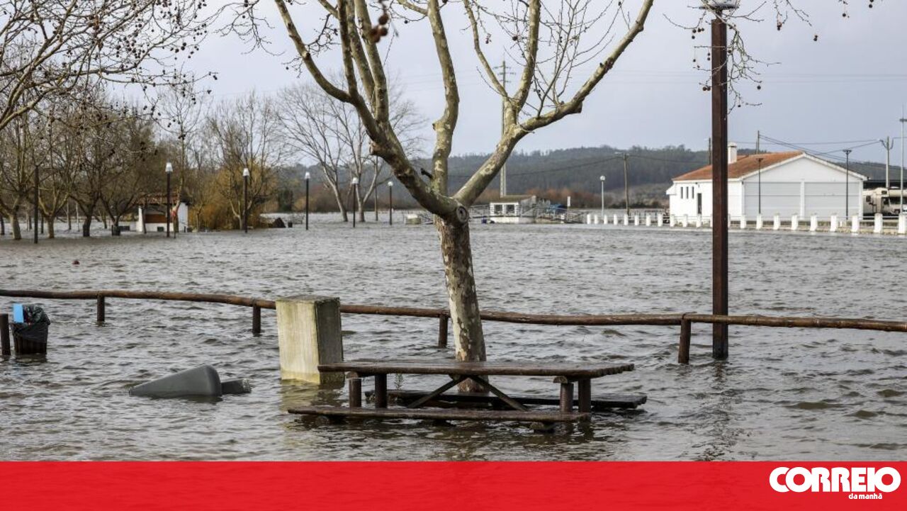 Jovem agricultor 'salvou' 500 toneladas de arroz da subida das águas em Montemor-o-Velho - Sociedade