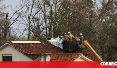 A sua casa foi construída antes de 2005? Atenção! DGS alerta para cuidados com amianto - Sociedade