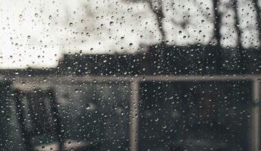 Linha do Norte reaberta para comboios de longo curso entre Braga e Lisboa