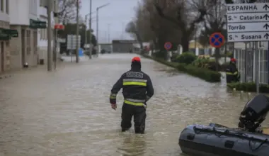 A sair de casa? Há comboios e barcos parados pelo mau tempo (eis a lista)