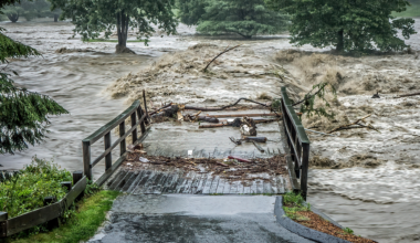 até que ponto podemos sobreviver a catástrofes extremas?