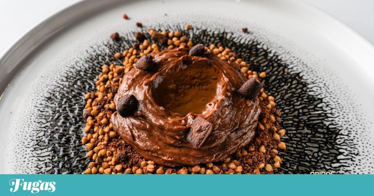 O que fazer neste fim-de-semana? Danças entre camélias, chocolate e queijo | Lazer