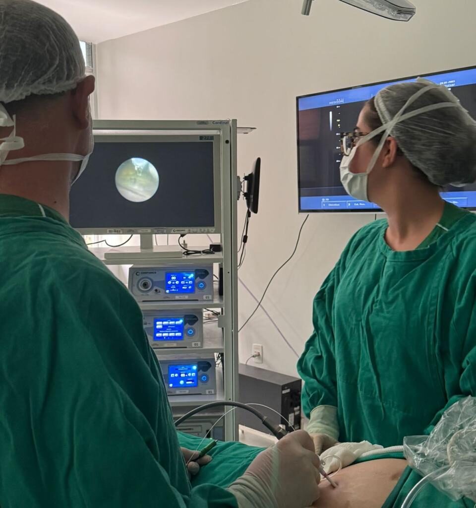 Tratamento no SUS reduz mortalidade em casos de transfusão feto-fetal