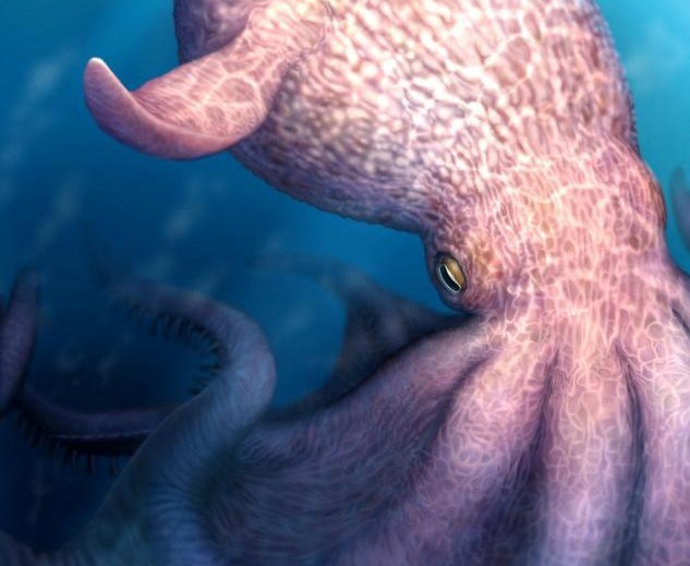 “Kraken” do Cretácico navegou pelos mares durante a era dos dinossauros | Fósseis