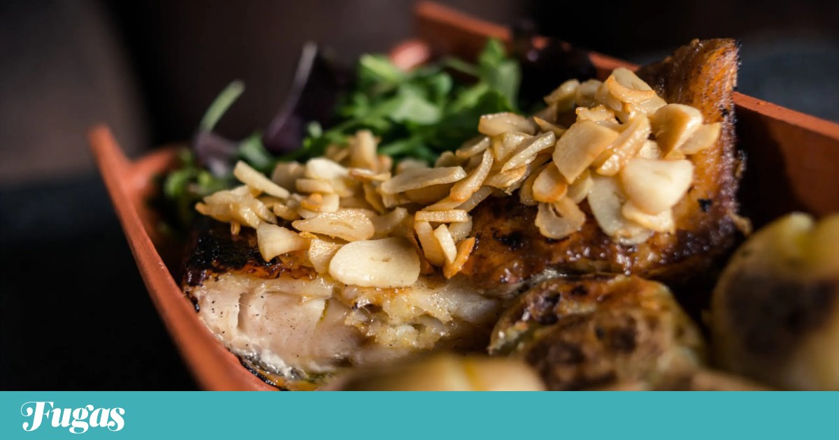 O que fazer? Segunda é dia de ir ao bacalhau e às antiguidades | Lazer