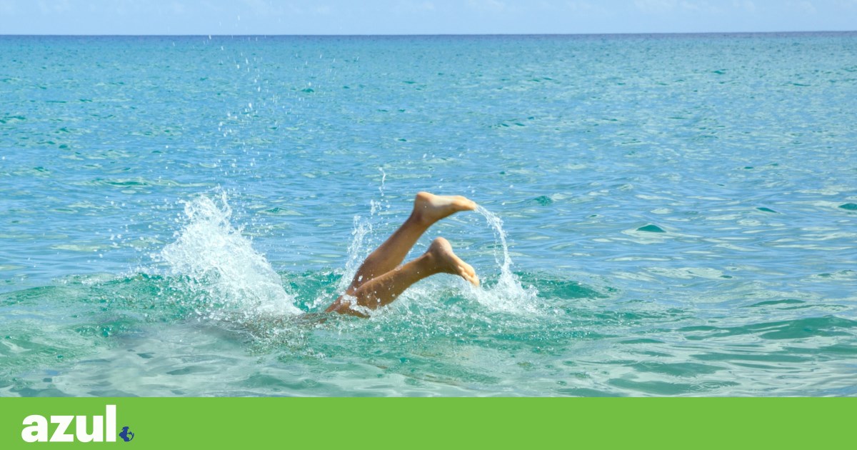 Procura uma praia “imaculada” em Portugal? Há menos opções este ano | Época balnear